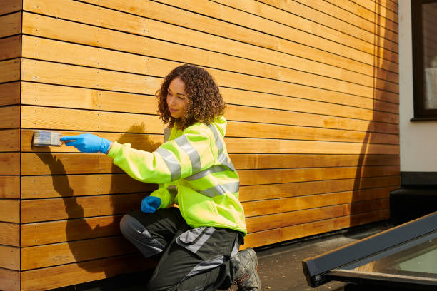 Best Stone Veneer Siding  in Andrews, SC